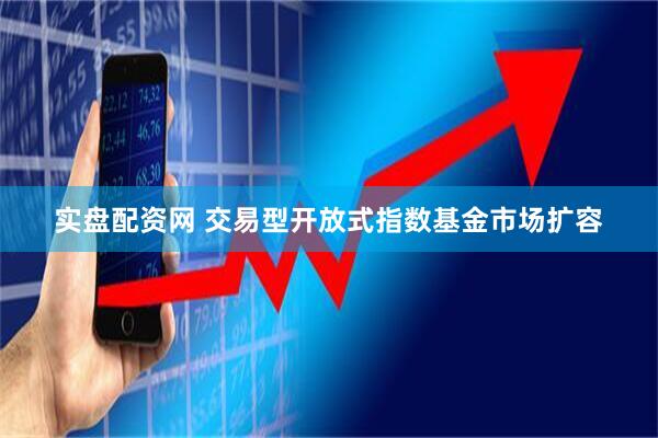 实盘配资网 交易型开放式指数基金市场扩容