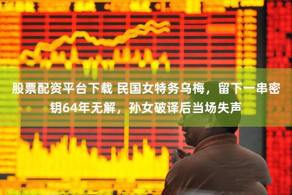 股票配资平台下载 民国女特务乌梅，留下一串密钥64年无解，孙女破译后当场失声